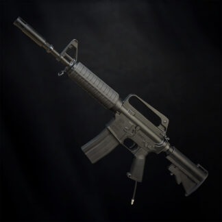 MTW Fossil Collection Dig 2